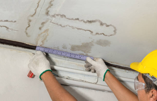 Reliable Water Damage Repair contractor in Odessa, DE by Aqua Guard Water Damage